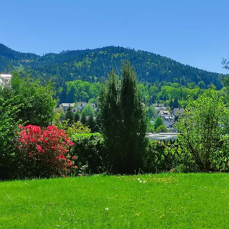Schwarzwaldblick
