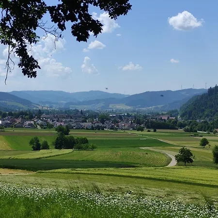 Schwarzwaldblick *