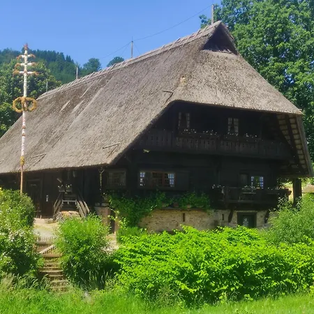 Schwarzwaldblick *